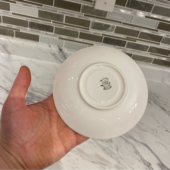 Vintage Rosina Bone China Teacup & Saucer set - Picture 10 of 12